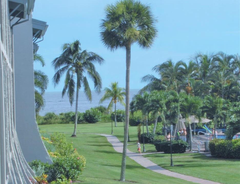 Views of the Gulf of Mexico from the patio