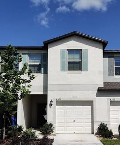 4505 Globe Thistle Dr, Tampa, FL, 33619
