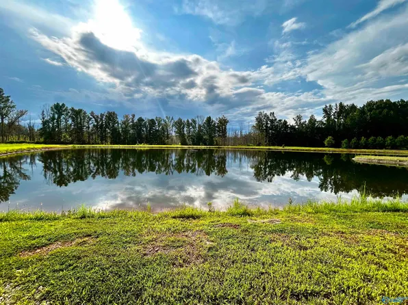 47 Hays Mill Rd, Elkmont, AL 35620