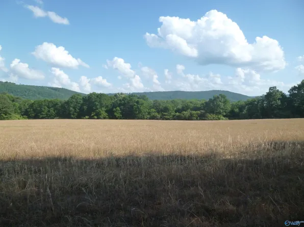 County Road 67, Langston, AL 35755