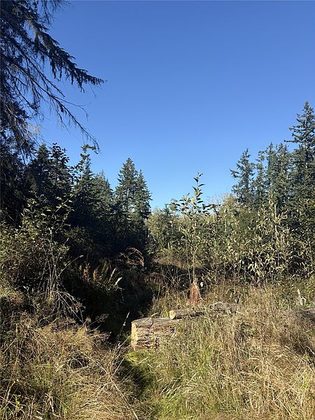 5th image of 473 Boyer Lane
