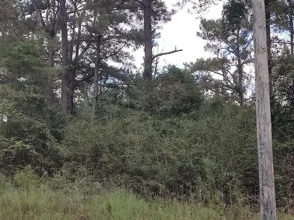 Deer Creek Rd Lot 258, Lumberton, MS 39455