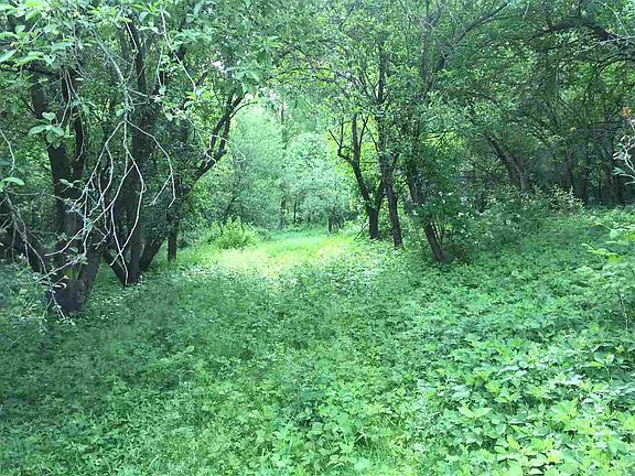 4th image of 7469 N Highway 80