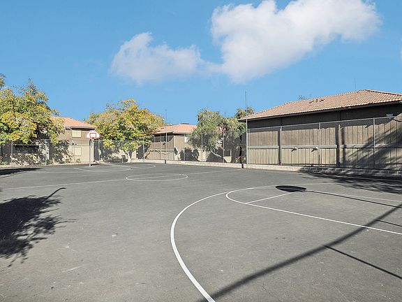 Basketball Court