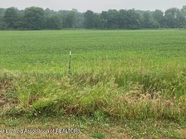 0 Birchridge Dr Parcel E, Charlotte, MI 48813