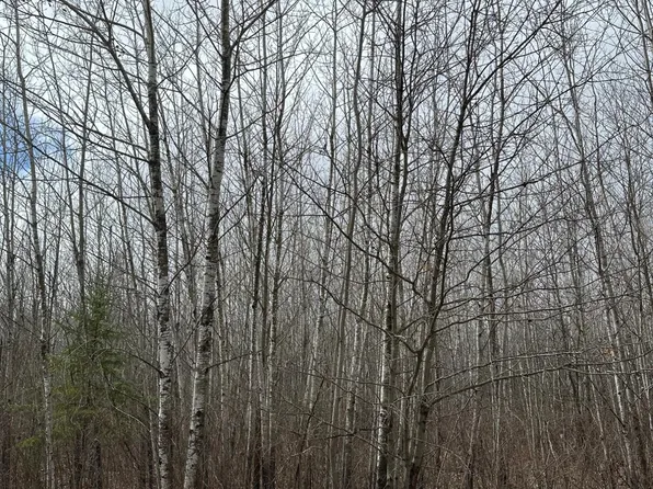 Burrows Lake Rd #4067-H, Tomahawk, WI 54487