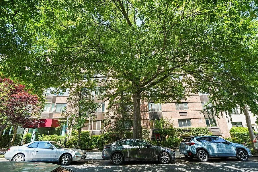 Beautifully Updated 1BR Condo in Dupont Circle | Quiet Building with Rooftop & Modern Upgrades — Photo 2