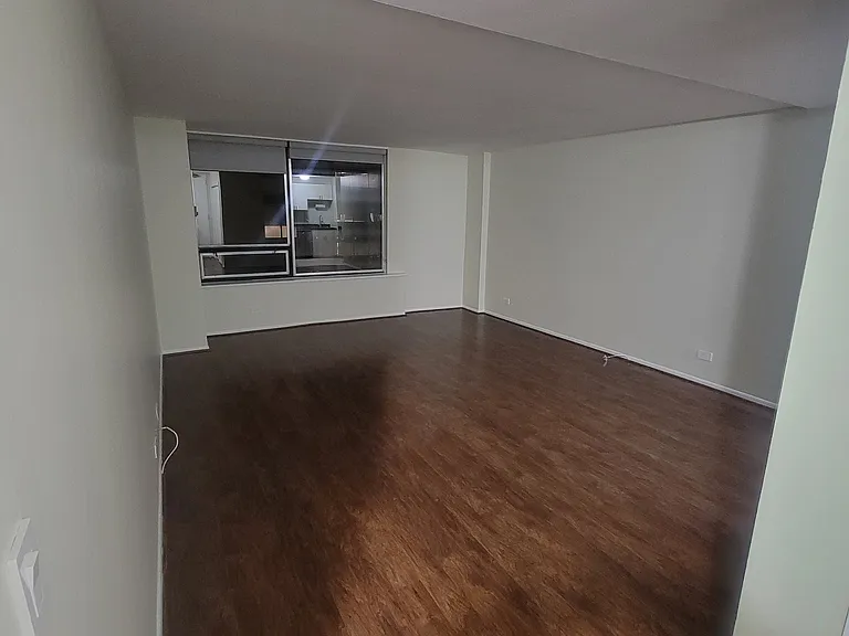 233 E Erie St #2201 — Photo 5