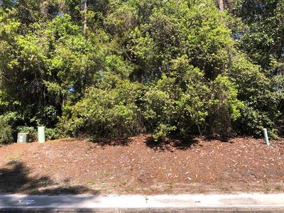 159 Royal Tern Way, Carrabelle, FL, 32322