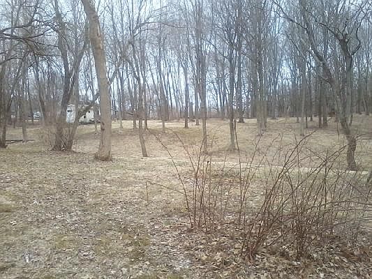 Wooded Back Yard w Shed