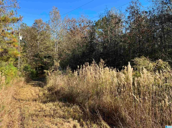 695 Brown Rd #10, Sylacauga, AL 35150