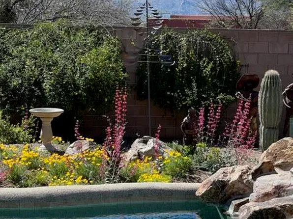 15297 N Appleton Ave, Tucson, AZ 85739