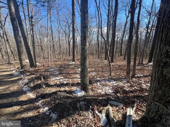 Gazelle Trl, Winchester, VA 22602