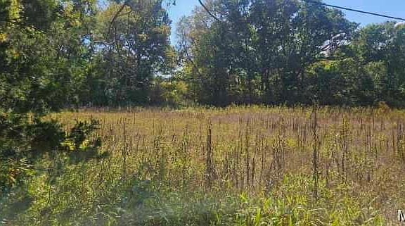 4th image of 0 Brushy Creek Rd