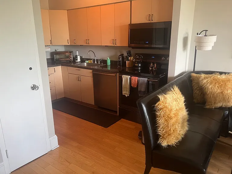 1550 N Lake Shore Dr #3E — Photo 10