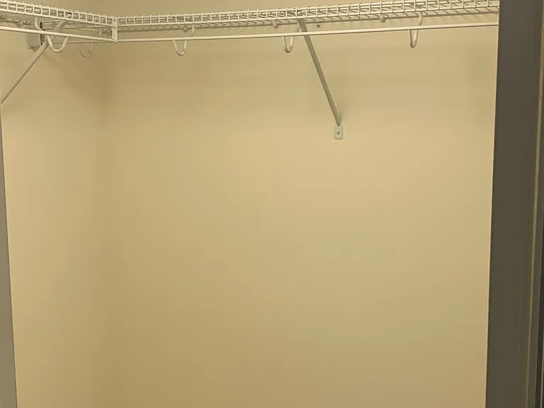 2446 Towering Oak Ct — Photo 1