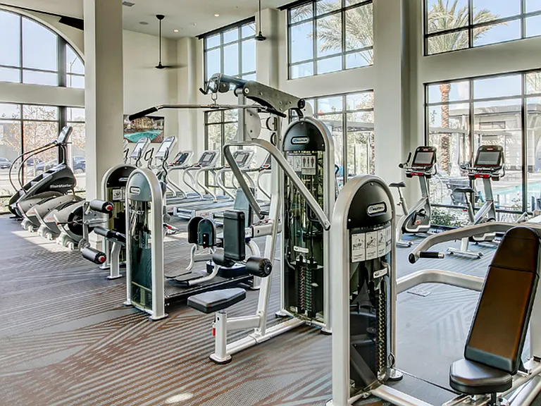 Fitness made easy