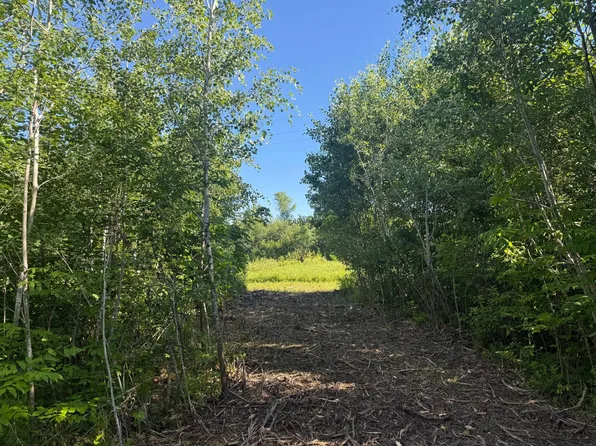 4 E County Road T, Danbury, WI 54830