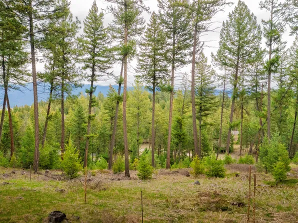 7 Tobacco Valley View Rd, Eureka, MT 59917