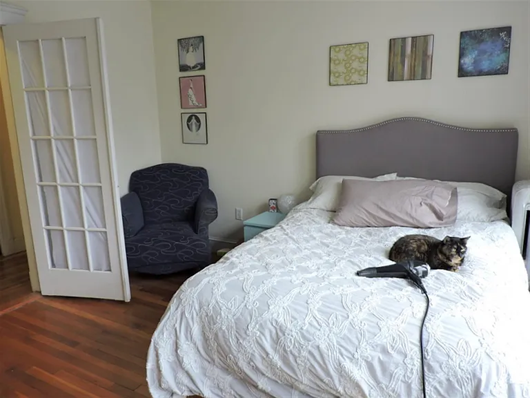 11 Ellery St — Photo 5
