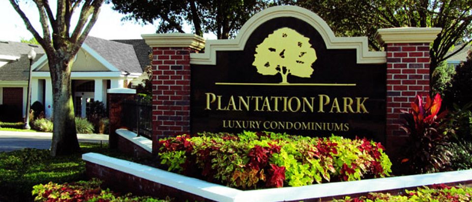 1st image of 13013 Mulberry Park Dr APT 227