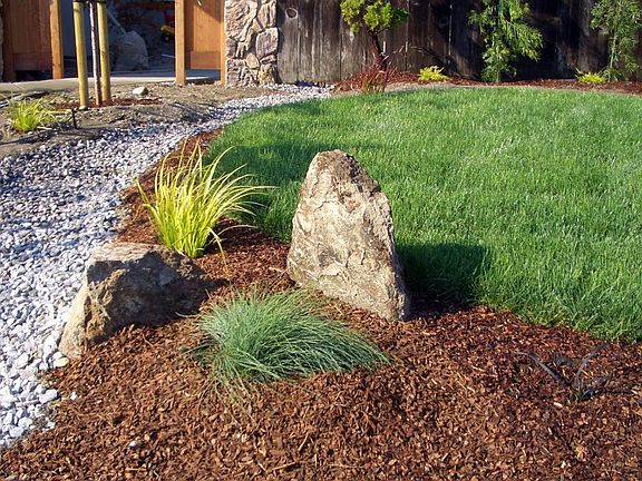 Front Yard