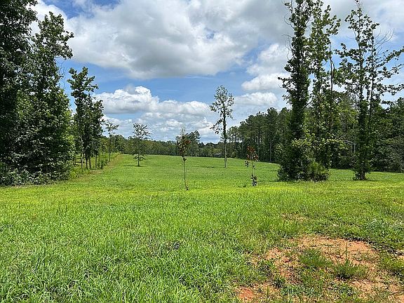 3rd image of 29400 Thach Rd