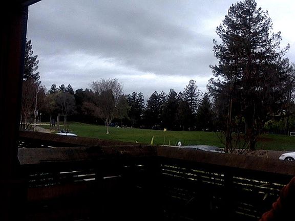 View from patio (park across the street)