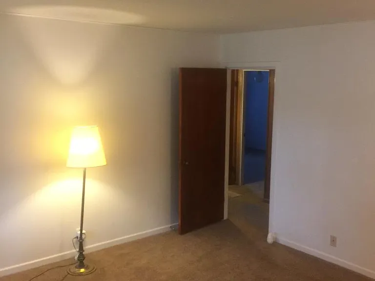 558 Artemis Dr — Photo 15