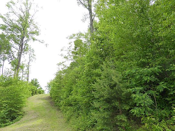 Driveway from cul-de-sac