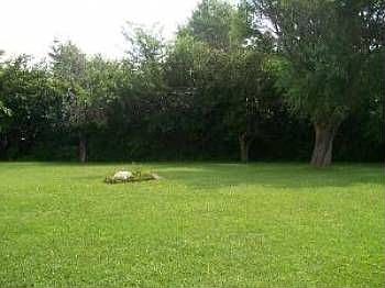 2nd image of 9009 Forest Ln E