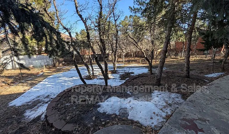 15 Upland Rd — Photo 56