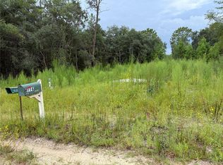 117 Sumac St LOT 9, Interlachen, FL 32148