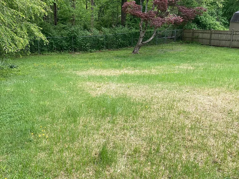 10 Phelps Ln — Photo 5