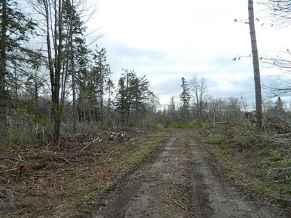 2nd image of ON Western Breeze