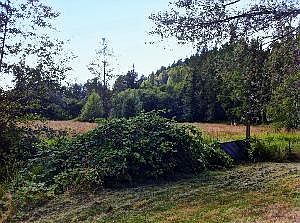 5th image of 21205 NE 58th St Lot 2
