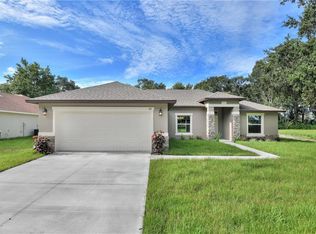 668 Parakeet Ct, Kissimmee, FL 34759