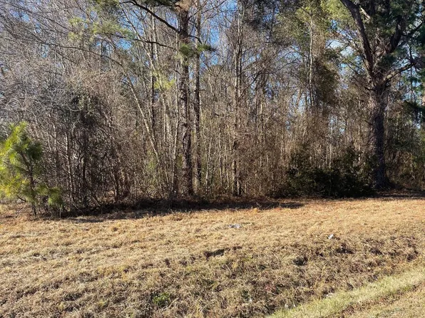 0 Mosely Road, Walstonburg, NC 27888