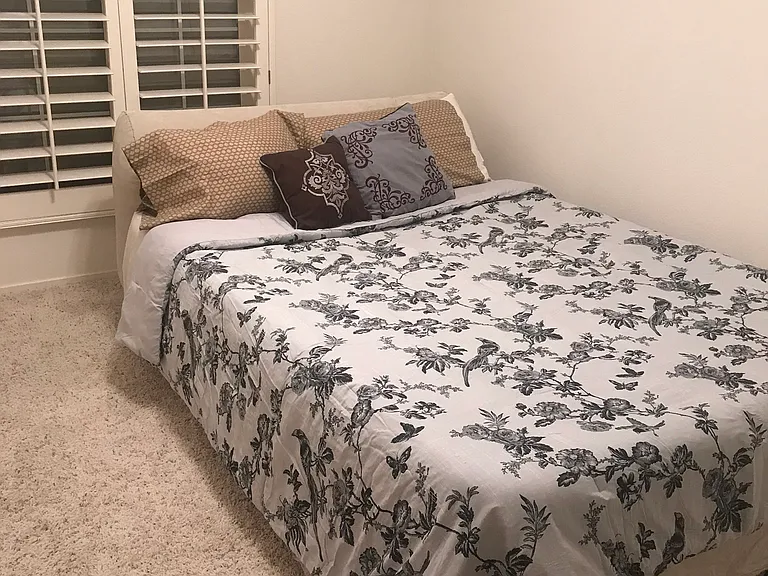 10087 Distant Rain Ct — Photo 12