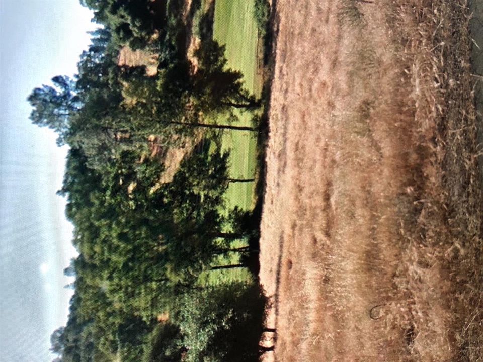 2nd image of 23777 Ironwood Ct