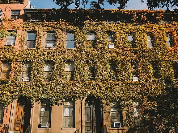 5th image of 444 W 49th St APT 5D