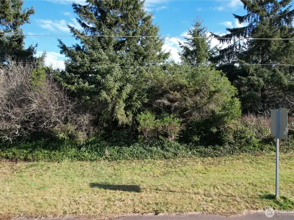 466 Point Brown Avenue NE, Ocean Shores, WA 98569