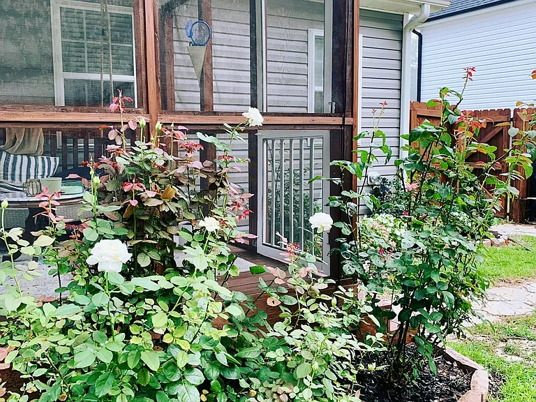555 Clark St — Photo 18