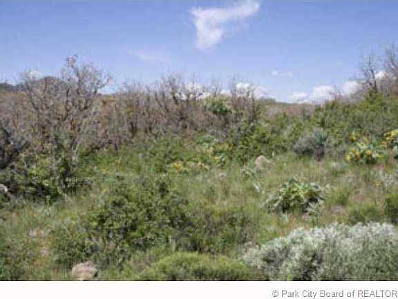 5th image of 1383 Snowberry Cir #15