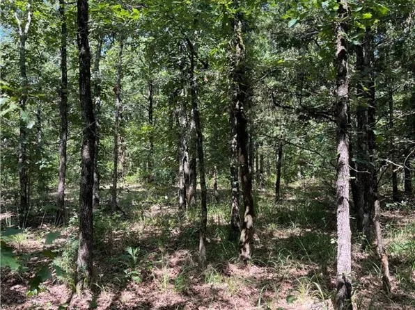 TRACT N4550 Rd #B, Whitesboro, OK 74577