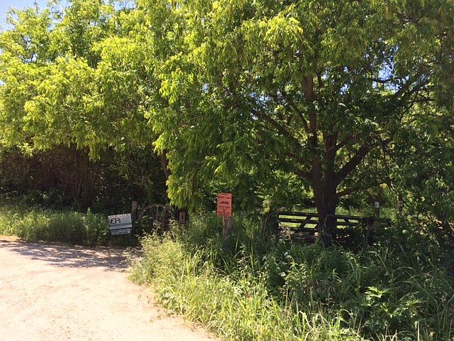 1st image of 195 Hill County Road 1413 W