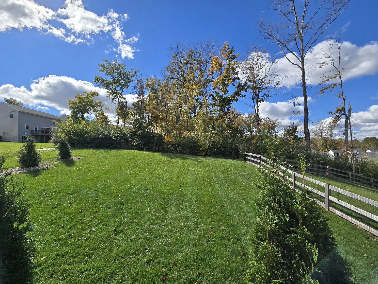 4 bed, 1903 sqft, $2,600 — Photo 3