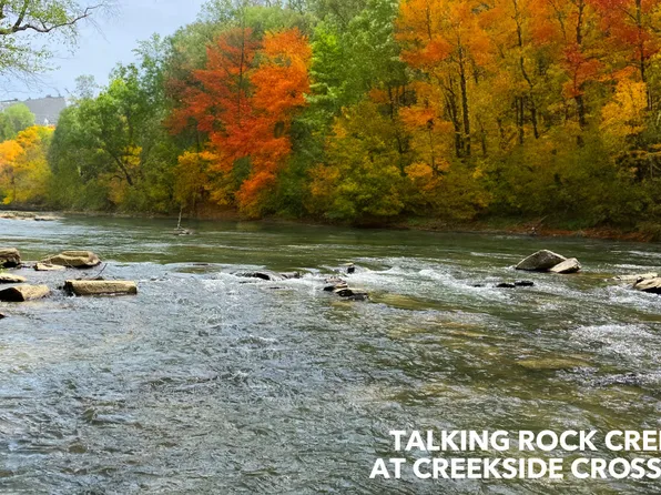 287 Anglers Ridge Rd, Talking Rock, GA 30175