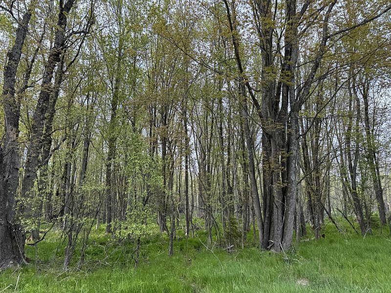 11588 Carney Rd, Herron, MI 49744 Zillow