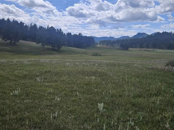 25381 Wind Song Valley Rd, Custer, SD 57730
